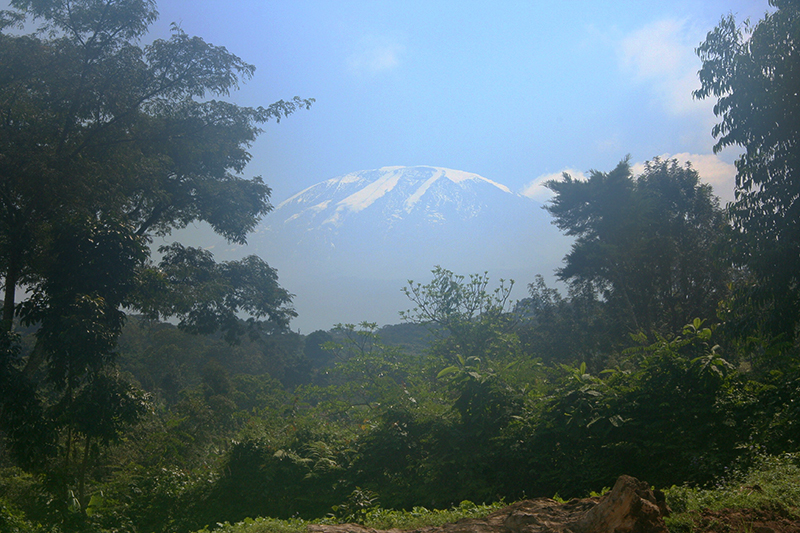 kilimanjaro-tanzania-africa-suenson-taylor-012