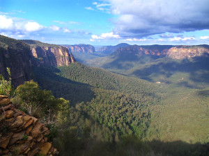 sydney-australia-Suenson-Taylor-007